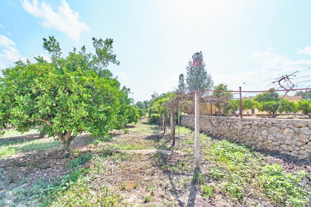 Villa Son Bennassar Inca  Ngoại thất bức ảnh